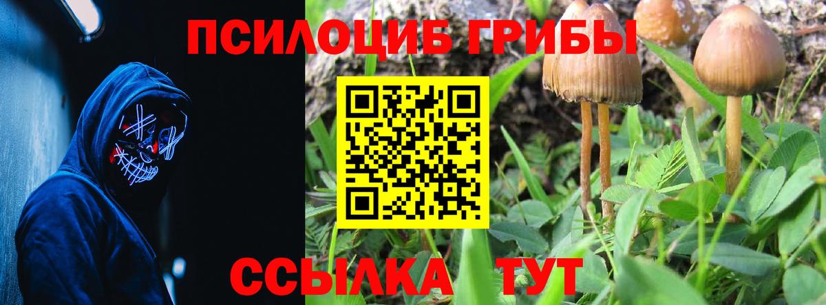 Псилоцибиновые грибы GOLDEN TEACHER  Вход с VPN  Минеральные Воды  даркнет сайт  Псилоцибиновые грибы MAGIC MUSHROOMS 